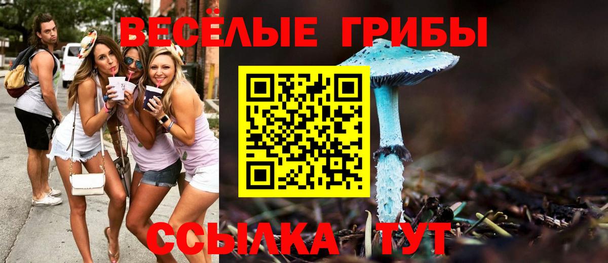 Галлюциногенные грибы GOLDEN TEACHER  Вход с VPN  Алексин 